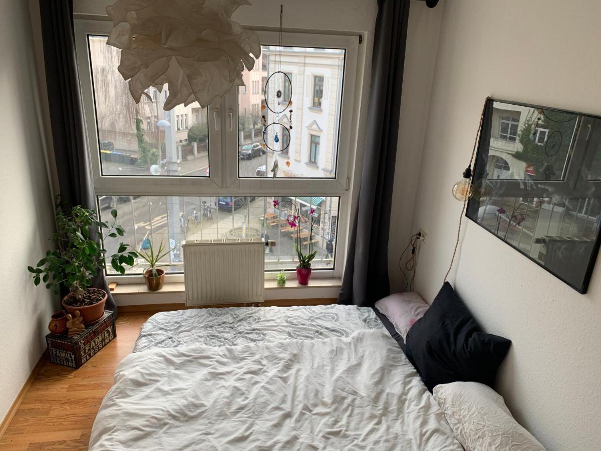 Am Clara-Zetkin-Park, Netflix, Lichtdurchflutet Apartment Leipzig Ngoại thất bức ảnh